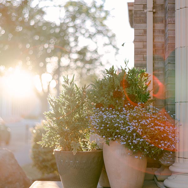 Savage Maryland Yard Cleaning